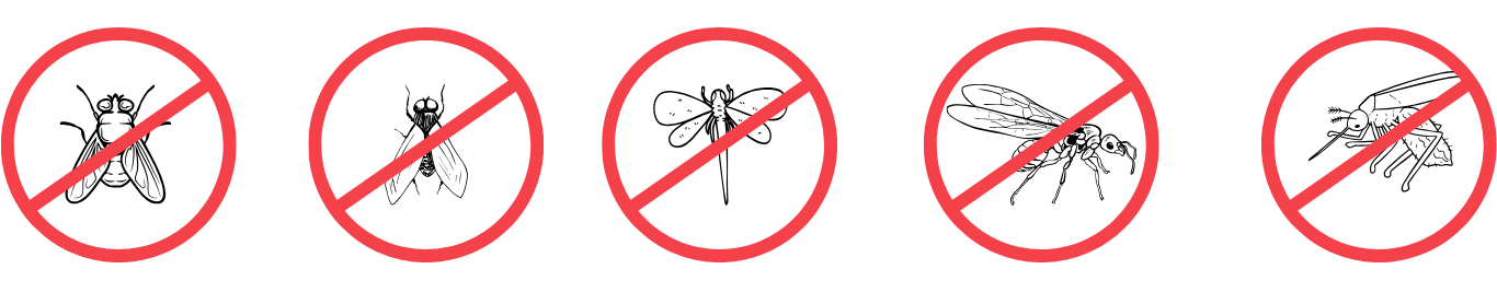 Alt image